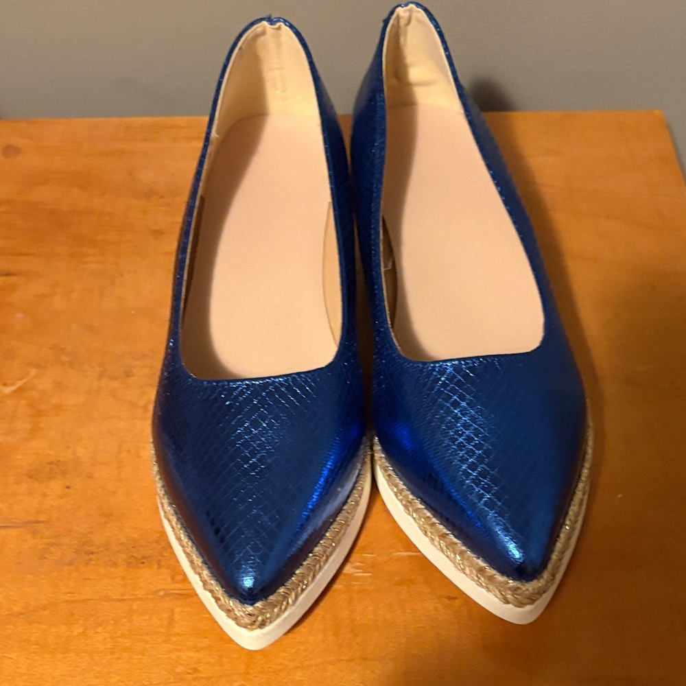 Blue Pointed-Toe Platform Flats | Espadrille Detail